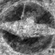 Imagen de LIDAR mostrando el barco enterrado en 2018.
